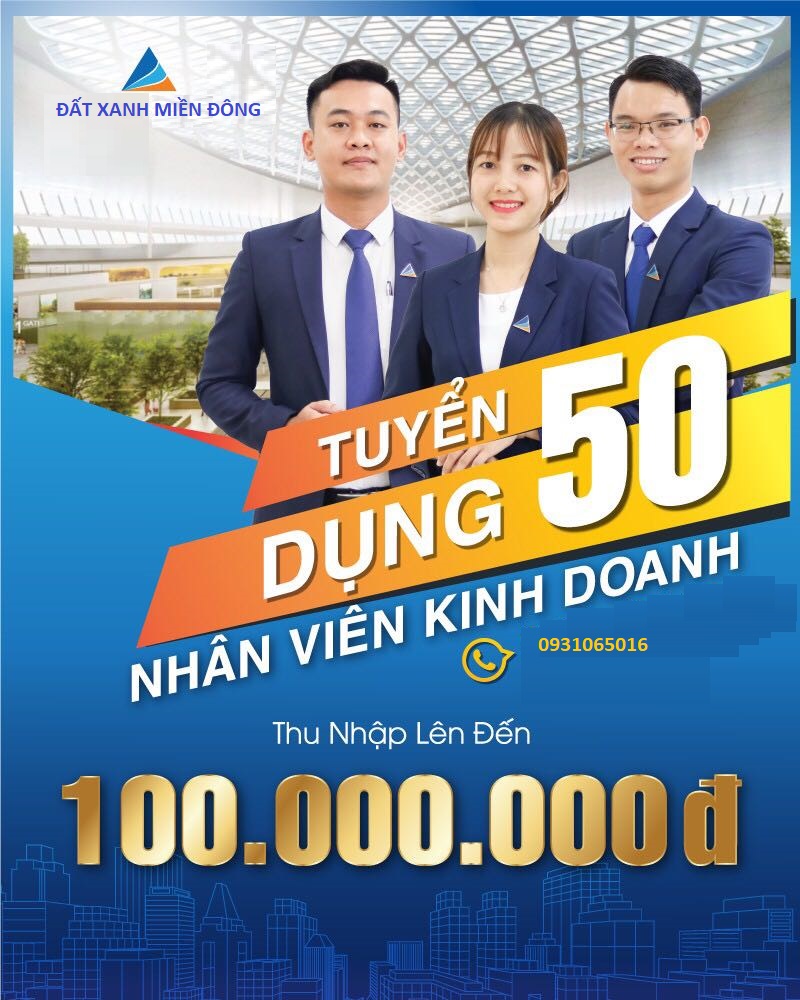 lĩnh vực hoạt động